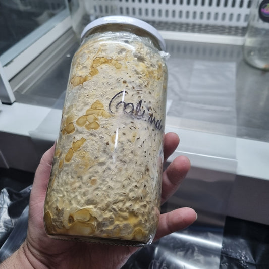 Gallindoi Trufera
