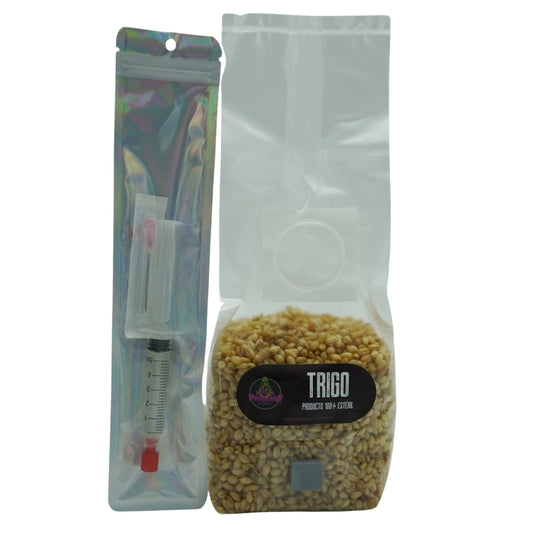 MushBag Trigo Estéril + Vial 5ml